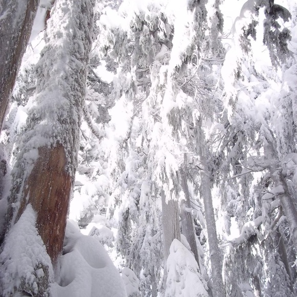 Meet your Posher, Jm - Picture 1 of 1